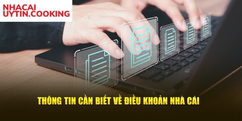 Thông tin cần biết về điều khoản nhà cái 