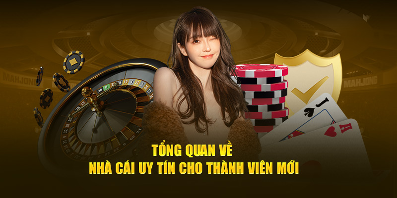 Tổng quan về nhà cái uy tín cho thành viên mới